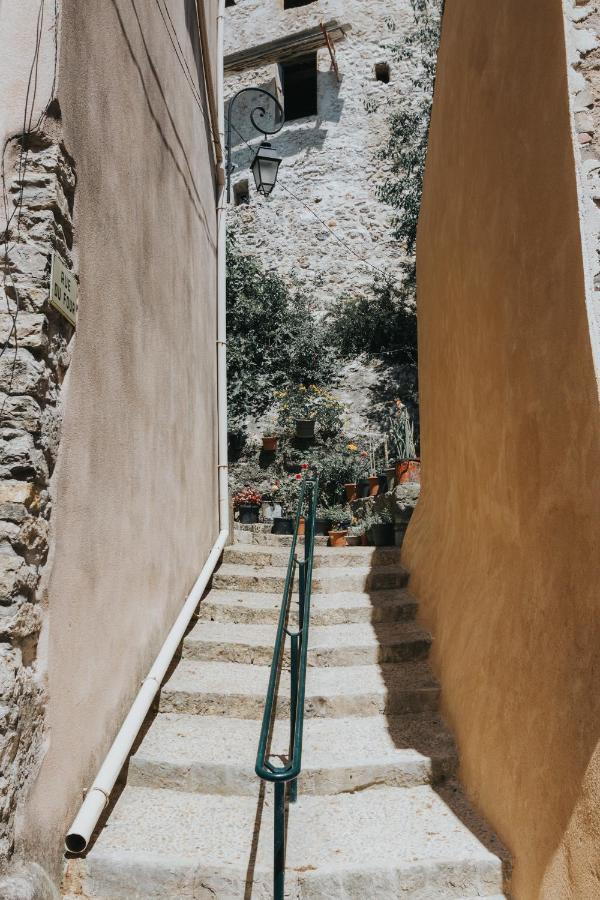Montfort-sur-Argens Casa Farniente Appartement Cocooning Provence Verte מראה חיצוני תמונה